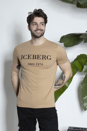 1204202311 - T-shirt - Iceberg
